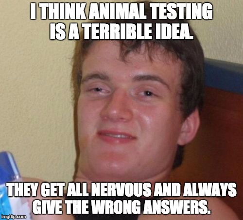 10 Guy Meme | I THINK ANIMAL TESTING IS A TERRIBLE IDEA. THEY GET ALL NERVOUS AND ALWAYS GIVE THE WRONG ANSWERS. | image tagged in memes,10 guy | made w/ Imgflip meme maker