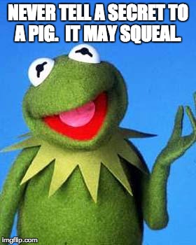 Kermit the Frog Meme | NEVER TELL A SECRET TO A PIG.  IT MAY SQUEAL. | image tagged in kermit the frog meme | made w/ Imgflip meme maker