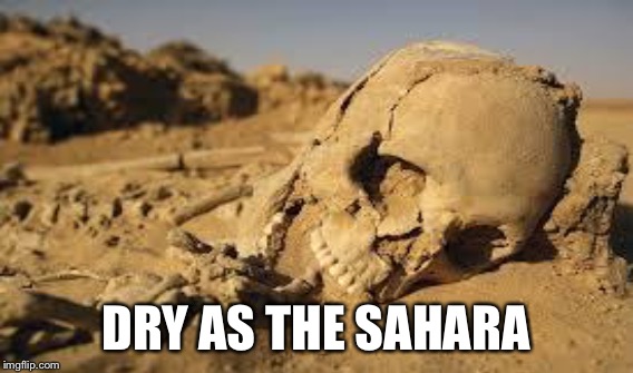 DRY AS THE SAHARA | made w/ Imgflip meme maker