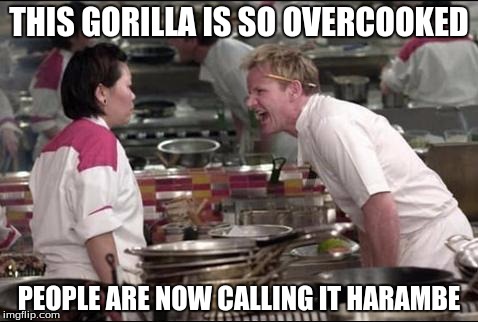 Another "dead" meme | THIS GORILLA IS SO OVERCOOKED; PEOPLE ARE NOW CALLING IT HARAMBE | image tagged in memes,angry chef gordon ramsay | made w/ Imgflip meme maker