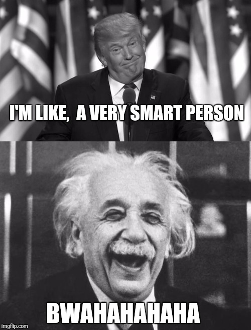 P Drumpf,  dummy at large | I'M LIKE,  A VERY SMART PERSON; BWAHAHAHAHA | image tagged in donald trump,albert einstein | made w/ Imgflip meme maker