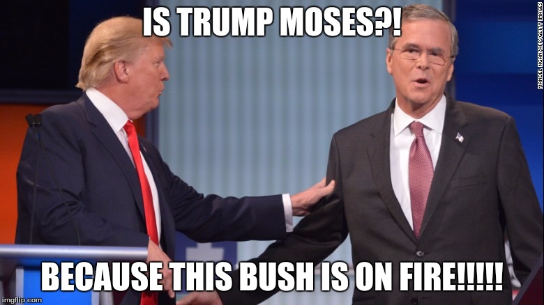IS TRUMP MOSES?! BECAUSE THIS BUSH IS ON FIRE!!!!! | image tagged in jeb bush | made w/ Imgflip meme maker