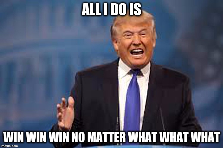 ALL I DO IS; WIN WIN WIN NO MATTER WHAT WHAT WHAT | image tagged in donald trump | made w/ Imgflip meme maker