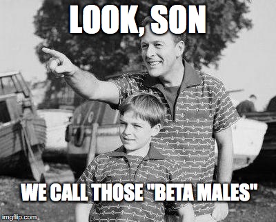 Look Son | LOOK, SON; WE CALL THOSE "BETA MALES" | image tagged in memes,look son | made w/ Imgflip meme maker