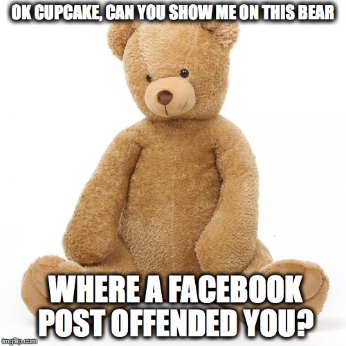 Teddy bear | OK CUPCAKE, CAN YOU SHOW ME ON THIS BEAR; WHERE A FACEBOOK POST OFFENDED YOU? | image tagged in teddy bear | made w/ Imgflip meme maker