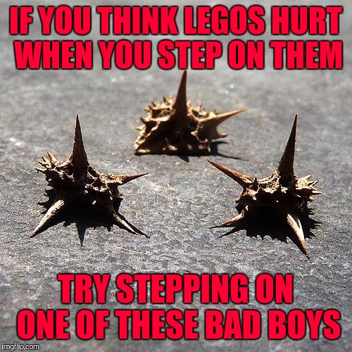 I'd walk over a whole set of Legos before I'd willingly step on one of these | IF YOU THINK LEGOS HURT WHEN YOU STEP ON THEM TRY STEPPING ON ONE OF THESE BAD BOYS | image tagged in stickers,memes,pain,funny,truth,legos | made w/ Imgflip meme maker