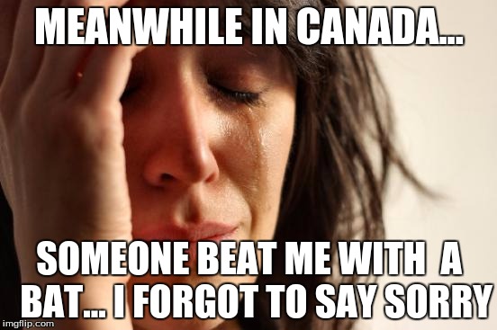 First World Problems Meme | MEANWHILE IN CANADA... SOMEONE BEAT ME WITH  A  BAT... I FORGOT TO SAY SORRY | image tagged in memes,first world problems | made w/ Imgflip meme maker