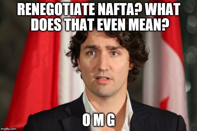 nafta trudeau | RENEGOTIATE NAFTA? WHAT DOES THAT EVEN MEAN? O M G | image tagged in upset trudeau,nafta trudeau,trump nafta | made w/ Imgflip meme maker