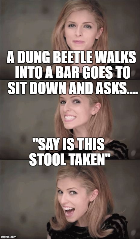 Bad Pun Anna Kendrick | A DUNG BEETLE WALKS INTO A BAR GOES TO SIT DOWN AND ASKS.... "SAY IS THIS STOOL TAKEN" | image tagged in memes,bad pun anna kendrick | made w/ Imgflip meme maker
