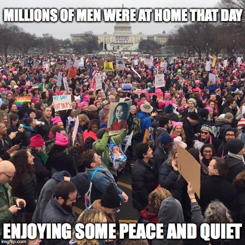 Womens march | MILLIONS OF MEN WERE AT HOME THAT DAY; ENJOYING SOME PEACE AND QUIET | image tagged in womens march | made w/ Imgflip meme maker