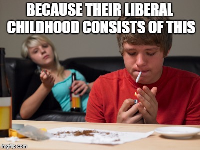 liberal kids | BECAUSE THEIR LIBERAL CHILDHOOD CONSISTS OF THIS | image tagged in liberal kids | made w/ Imgflip meme maker