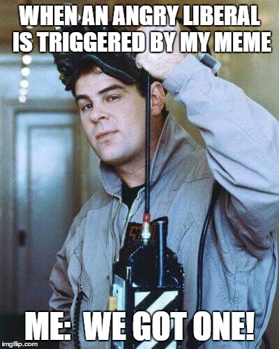 Angry liberal triggered ghostbusters style | WHEN AN ANGRY LIBERAL IS TRIGGERED BY MY MEME; ME:  WE GOT ONE! | image tagged in liberal,triggered,ghostbusters | made w/ Imgflip meme maker