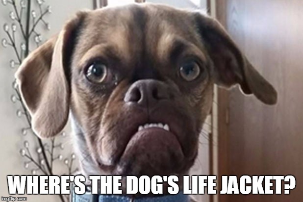 WHERE'S THE DOG'S LIFE JACKET? | made w/ Imgflip meme maker