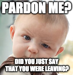 Skeptical Baby | PARDON ME? DID YOU JUST SAY THAT YOU WERE LEAVING? | image tagged in memes,skeptical baby | made w/ Imgflip meme maker