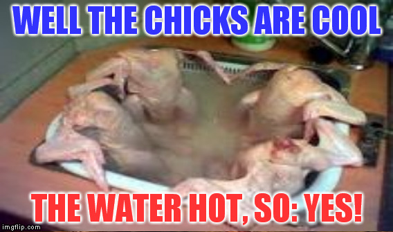 WELL THE CHICKS ARE COOL THE WATER HOT, SO: YES! | made w/ Imgflip meme maker