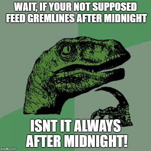 Philosoraptor Meme | WAIT, IF YOUR NOT SUPPOSED FEED GREMLINES AFTER MIDNIGHT; ISNT IT ALWAYS AFTER MIDNIGHT! | image tagged in memes,philosoraptor | made w/ Imgflip meme maker