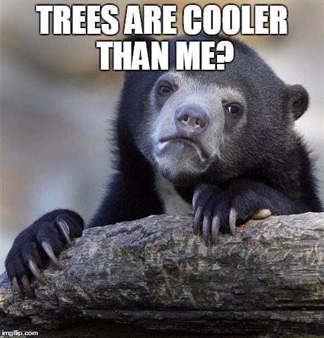 Confession Bear Meme | TREES ARE COOLER THAN ME? | image tagged in memes,confession bear | made w/ Imgflip meme maker