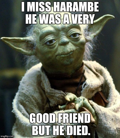 Star Wars Yoda | I MISS HARAMBE HE WAS A VERY; GOOD FRIEND BUT HE DIED. | image tagged in memes,star wars yoda | made w/ Imgflip meme maker