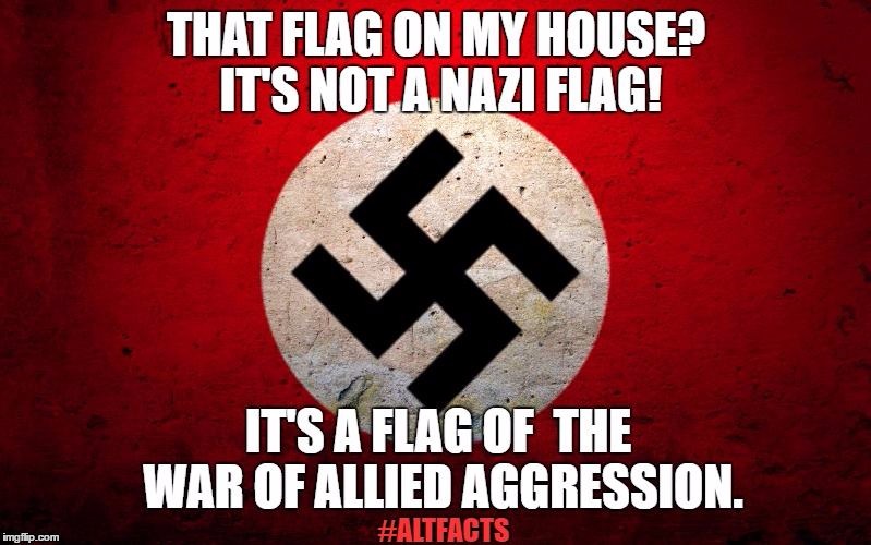 Snowflake, you got it wrong. | image tagged in nazi,nazi flag,alternate facts,altfacts | made w/ Imgflip meme maker