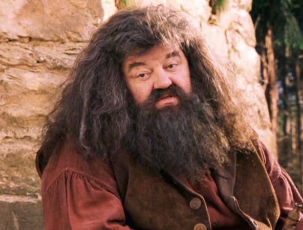 Hagrid Blank Meme Template