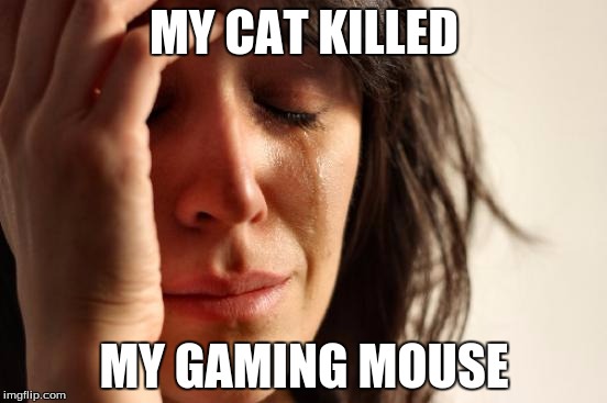 First World Problems Meme | MY CAT KILLED; MY GAMING MOUSE | image tagged in memes,first world problems | made w/ Imgflip meme maker
