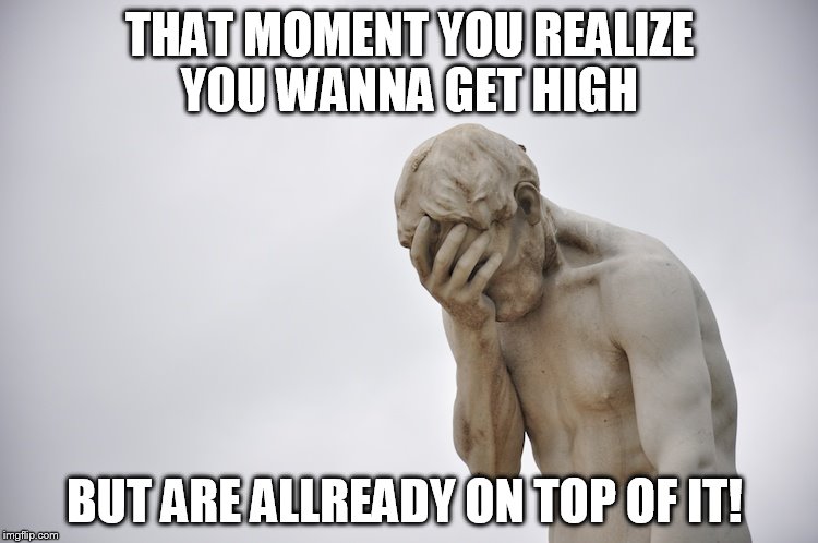 Disappointment | THAT MOMENT YOU REALIZE YOU WANNA GET HIGH; BUT ARE ALLREADY ON TOP OF IT! | image tagged in disappointment | made w/ Imgflip meme maker