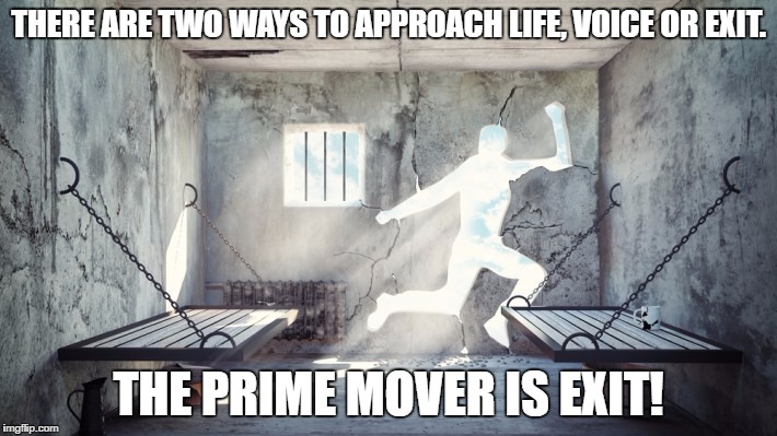 Lifes Choices. | THERE ARE TWO WAYS TO APPROACH LIFE, VOICE OR EXIT. THE PRIME MOVER IS EXIT! | image tagged in truth,choices | made w/ Imgflip meme maker