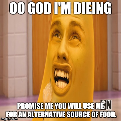 OO GOD I'M DIEING; PROMISE ME YOU WILL USE ME FOR AN ALTERNATIVE SOURCE OF FOOD. | image tagged in joe,bananas | made w/ Imgflip meme maker
