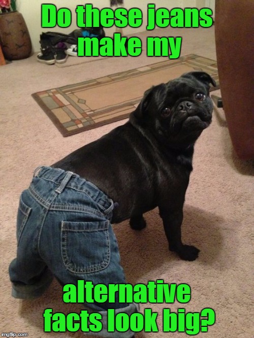 Do these jeans make my alternative facts look big? | made w/ Imgflip meme maker