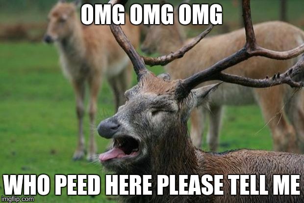 Disgusted Deer | OMG OMG OMG; WHO PEED HERE PLEASE TELL ME | image tagged in disgusted deer | made w/ Imgflip meme maker