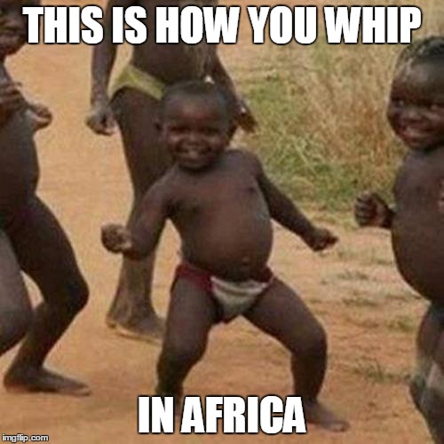 Third World Success Kid | THIS IS HOW YOU WHIP; IN AFRICA | image tagged in memes,third world success kid | made w/ Imgflip meme maker