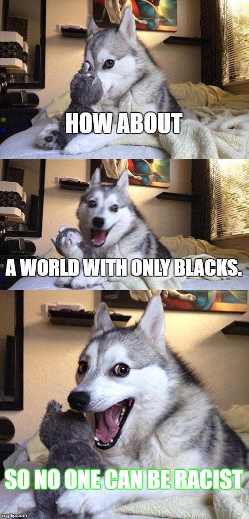 how about this
 | HOW ABOUT; A WORLD WITH ONLY BLACKS. SO NO ONE CAN BE RACIST | image tagged in memes,bad pun dog | made w/ Imgflip meme maker