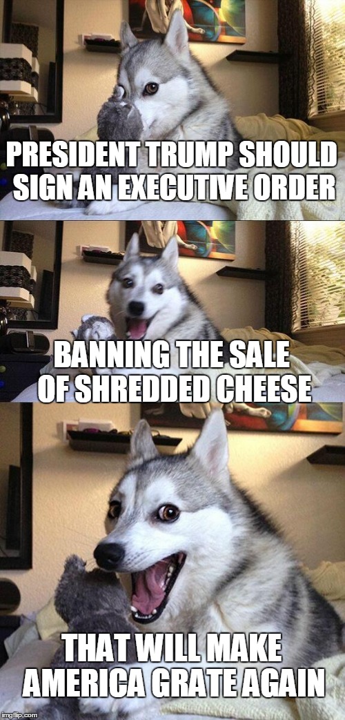 Bad Pun Dog | PRESIDENT TRUMP SHOULD SIGN AN EXECUTIVE ORDER; BANNING THE SALE OF SHREDDED CHEESE; THAT WILL MAKE AMERICA GRATE AGAIN | image tagged in memes,bad pun dog | made w/ Imgflip meme maker