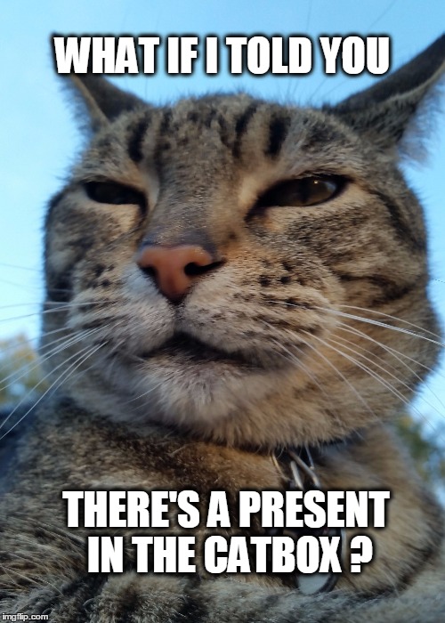 Pinkey | WHAT IF I TOLD YOU; THERE'S A PRESENT IN THE CATBOX ? | image tagged in pinkey,catbox,presents,what if i told you,poop | made w/ Imgflip meme maker