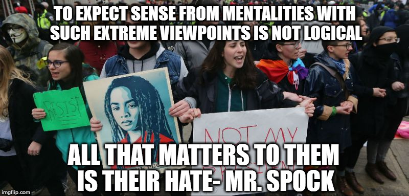 TO EXPECT SENSE FROM MENTALITIES WITH SUCH EXTREME VIEWPOINTS IS NOT LOGICAL; ALL THAT MATTERS TO THEM IS THEIR HATE- MR. SPOCK | image tagged in rioters | made w/ Imgflip meme maker