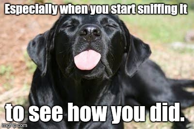 Tongue | Especially when you start sniffing it to see how you did. | image tagged in tongue | made w/ Imgflip meme maker