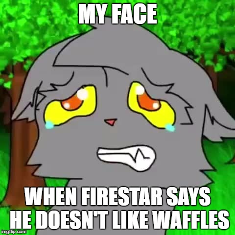 Firestar doesn't like waffles | MY FACE; WHEN FIRESTAR SAYS HE DOESN'T LIKE WAFFLES | image tagged in firestar doesn't like waffles | made w/ Imgflip meme maker