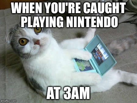 Nintendo Cat Busted | WHEN YOU'RE CAUGHT PLAYING NINTENDO; AT 3AM | image tagged in funny memes,cats,nintendo | made w/ Imgflip meme maker