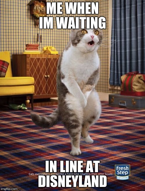 Gotta Go Cat | ME WHEN IM WAITING; IN LINE AT DISNEYLAND | image tagged in memes,gotta go cat | made w/ Imgflip meme maker