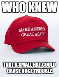 #MAGA | WHO KNEW; THAT A SMALL HAT COULD CAUSE HUGE TROUBLE. | image tagged in maga,donald trump,make america great again | made w/ Imgflip meme maker