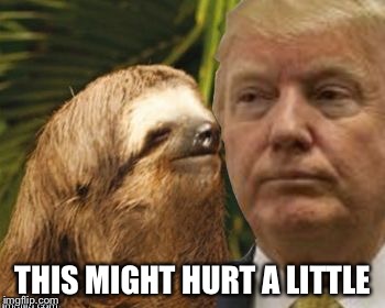 Political advice sloth | THIS MIGHT HURT A LITTLE | image tagged in political advice sloth | made w/ Imgflip meme maker