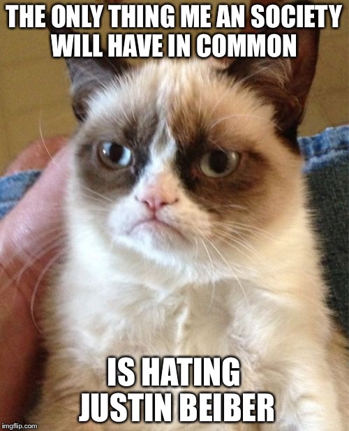 Grumpy Cat | THE ONLY THING ME AN SOCIETY WILL HAVE IN COMMON; IS HATING JUSTIN BEIBER | image tagged in memes,grumpy cat | made w/ Imgflip meme maker