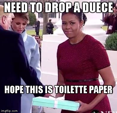 Michelle Obama Melania Trump | NEED TO DROP A DUECE; HOPE THIS IS TOILETTE PAPER | image tagged in michelle obama melania trump | made w/ Imgflip meme maker