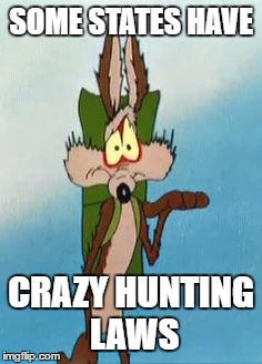 SOME STATES HAVE CRAZY HUNTING LAWS | made w/ Imgflip meme maker