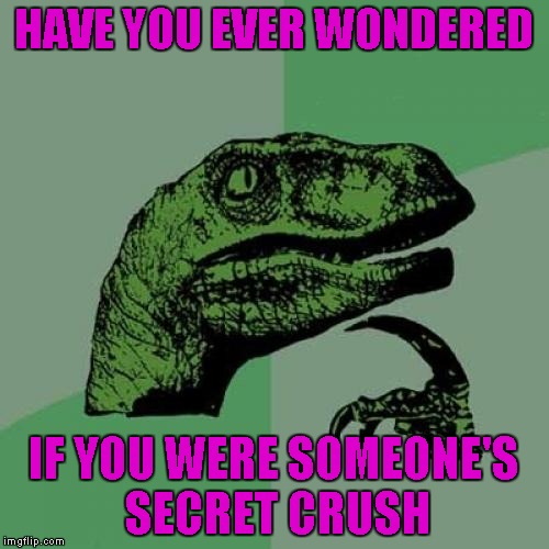 Philosoraptor Meme | HAVE YOU EVER WONDERED IF YOU WERE SOMEONE'S SECRET CRUSH | image tagged in memes,philosoraptor | made w/ Imgflip meme maker