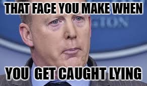 THAT FACE YOU MAKE WHEN; YOU  GET CAUGHT LYING | image tagged in sean spicer memes | made w/ Imgflip meme maker