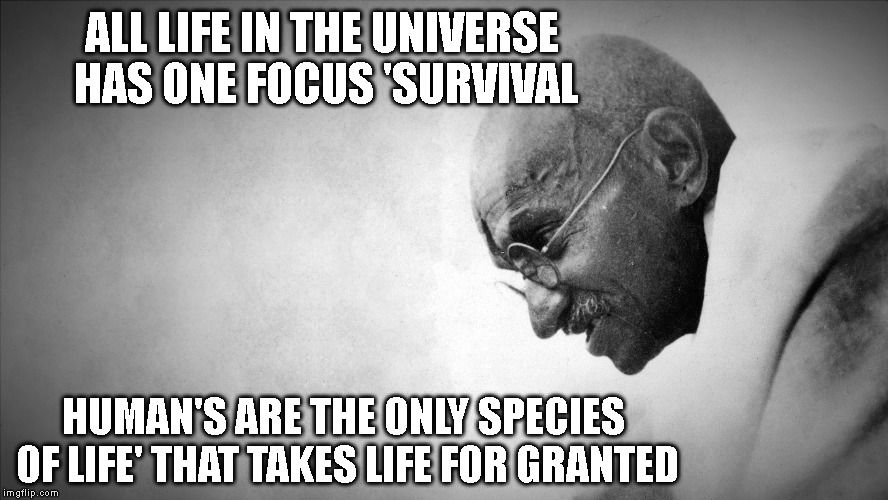 gandhi | ALL LIFE IN THE UNIVERSE HAS ONE FOCUS 'SURVIVAL; HUMAN'S ARE THE ONLY SPECIES OF LIFE' THAT TAKES LIFE FOR GRANTED | image tagged in gandhi | made w/ Imgflip meme maker