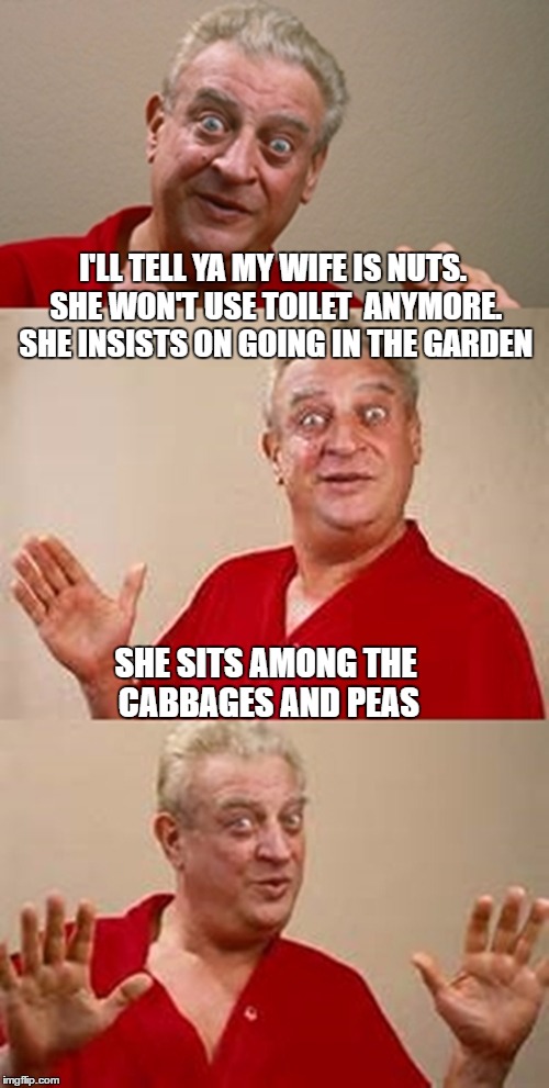 Garden party | I'LL TELL YA MY WIFE IS NUTS. SHE WON'T USE TOILET  ANYMORE. SHE INSISTS ON GOING IN THE GARDEN; SHE SITS AMONG THE CABBAGES AND PEAS | image tagged in bad pun dangerfield,toilet,memes,garden,rodney dangerfield,piss | made w/ Imgflip meme maker