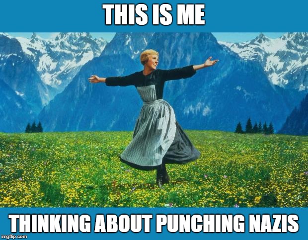 the sound of music happiness | THIS IS ME; THINKING ABOUT PUNCHING NAZIS | image tagged in the sound of music happiness | made w/ Imgflip meme maker