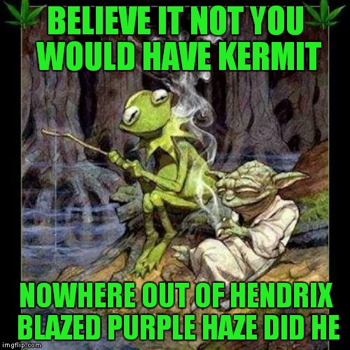 BELIEVE IT NOT YOU WOULD HAVE KERMIT NOWHERE OUT OF HENDRIX BLAZED PURPLE HAZE DID HE | made w/ Imgflip meme maker